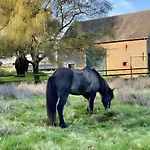 Дом отдыха De La Ferme Du Tilleul