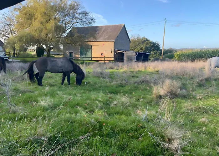 De La Ferme Du Tilleul Prázdninový dům *