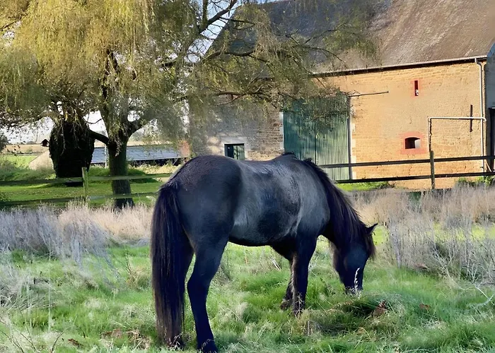 Hébergement de vacances Maison De Caractère En Bretagne *